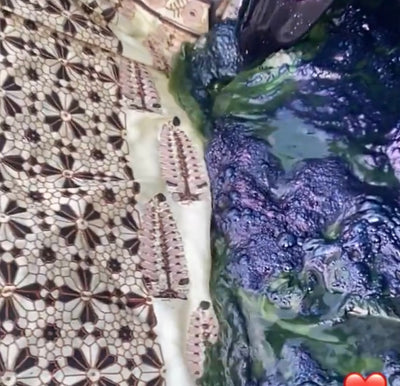 Natural ways to dye fabric