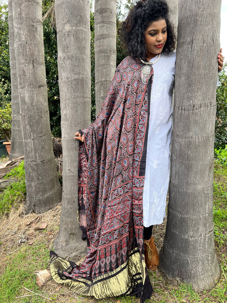 Ajrakh Modal Silk Lagdi Patta Shawl Dupatta - Paisley