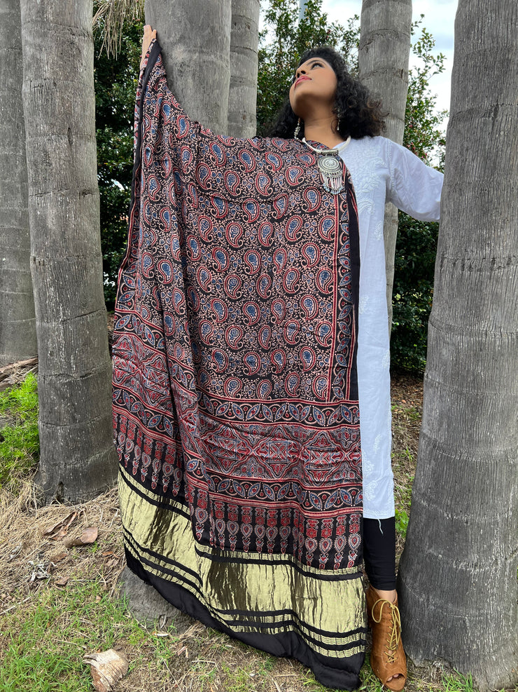 Ajrakh Modal Silk Lagdi Patta Shawl Dupatta - Paisley